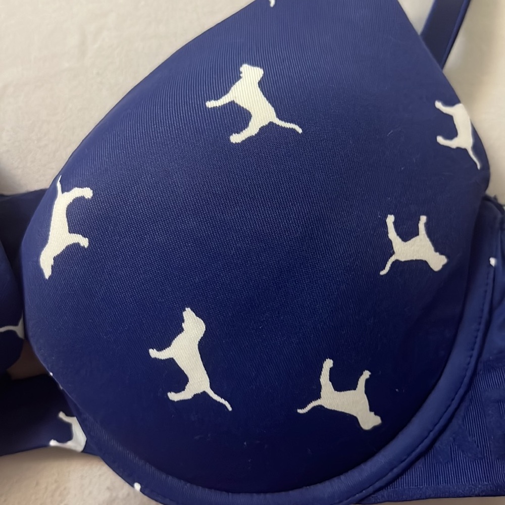 Bra - Picture 2 of 4